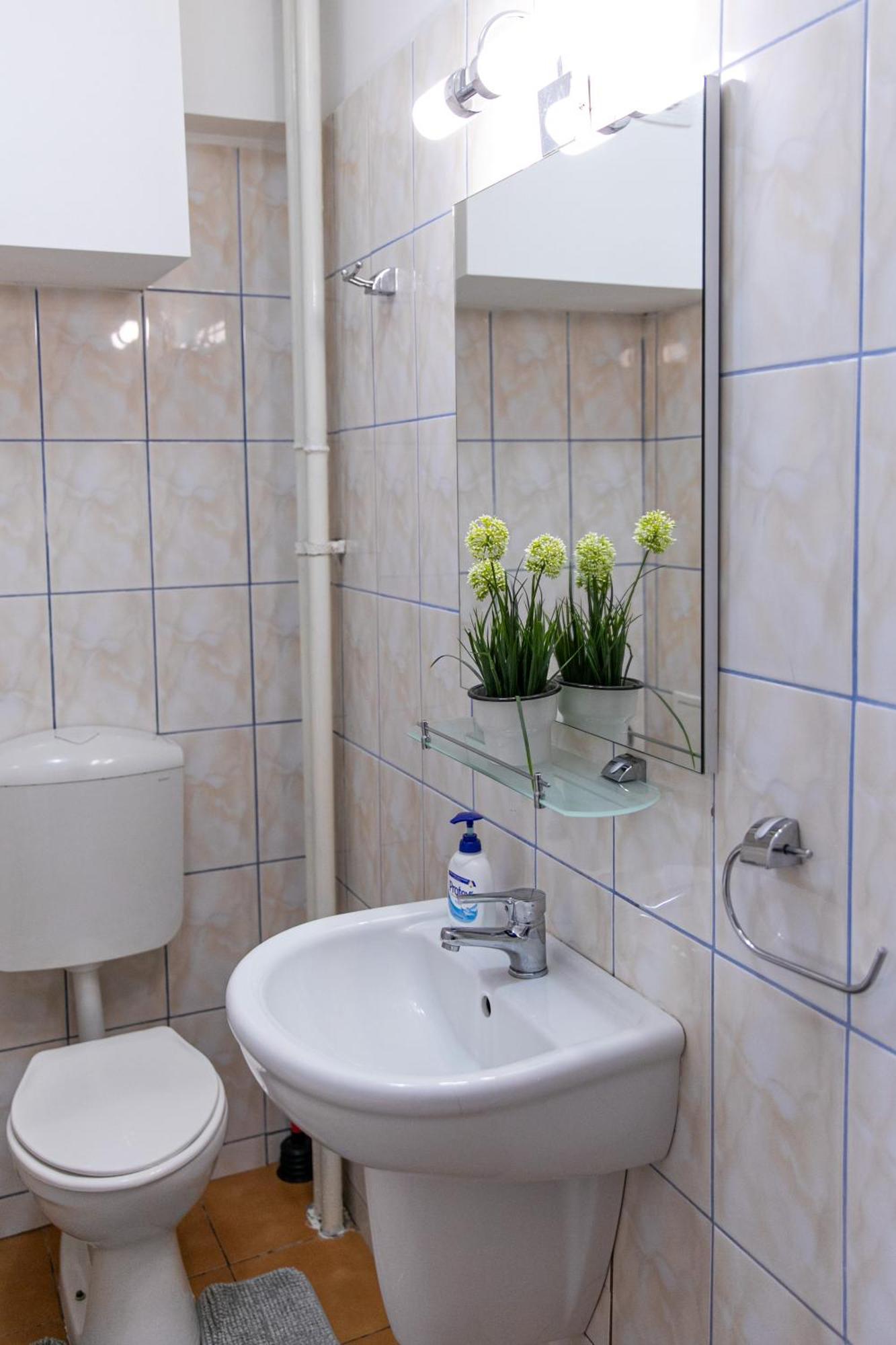 Color Apartment Regina Elisabeta 23 ブカレスト エクステリア 写真